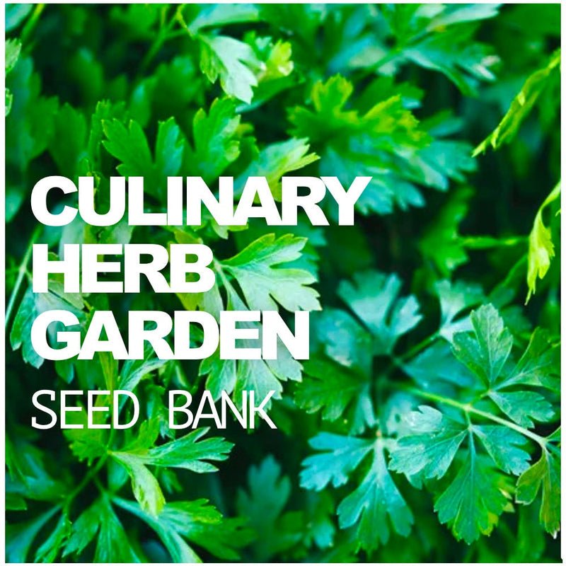 SeedsNow All-in-One Culinary Herb Garden Seed Bank